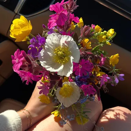 Arran Nordkapp Hotel Honningsvåg