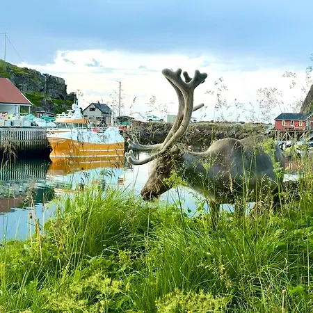 Arran Nordkapp Hotel Honningsvag
