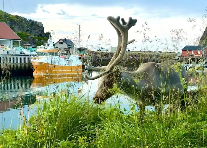 Arran Nordkapp Hotel Honningsvåg