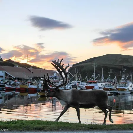 호텔 Arran Nordkapp